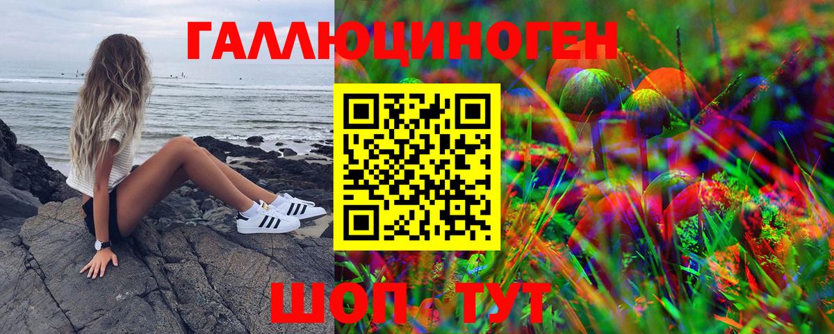 Приморско-Ахтарск  Галлюциногенные грибы ЛСД  Вход с VPN 