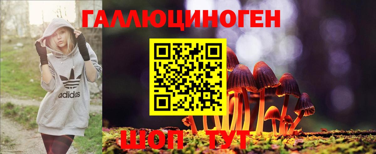 Псилоцибиновые грибы Magic Shrooms Приморско-Ахтарск